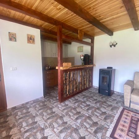 Casa Prundari Nicu și Mirela Hotel Poiana Teiului Exterior foto