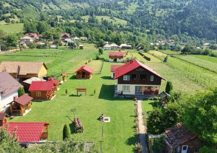 Casa Prundari Nicu și Mirela Hotel Poiana Teiului Exterior foto