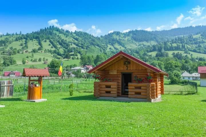Casa Prundari Nicu și Mirela Hotel Poiana Teiului Exterior foto