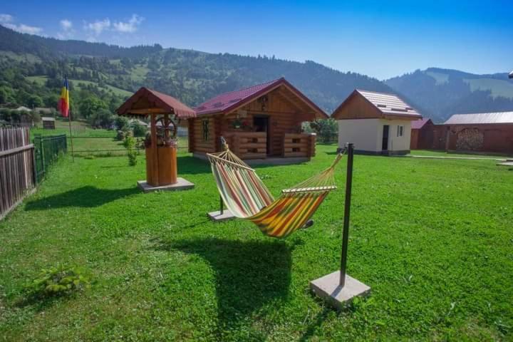 Casa Prundari Nicu și Mirela Hotel Poiana Teiului Exterior foto