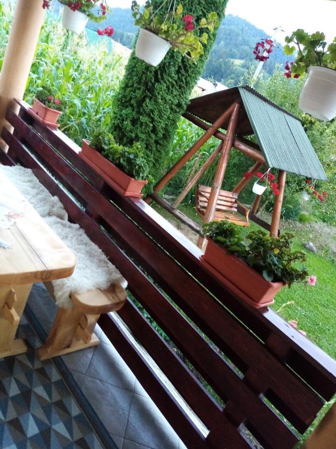 Casa Prundari Nicu și Mirela Hotel Poiana Teiului Exterior foto