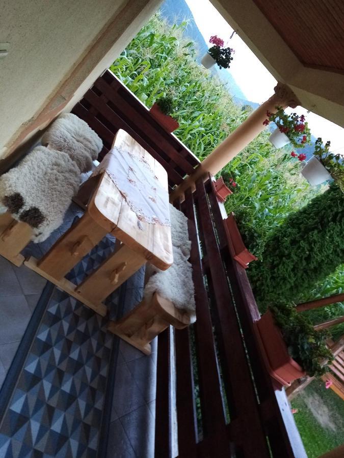 Casa Prundari Nicu și Mirela Hotel Poiana Teiului Exterior foto
