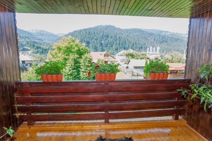 Casa Prundari Nicu și Mirela Hotel Poiana Teiului Exterior foto