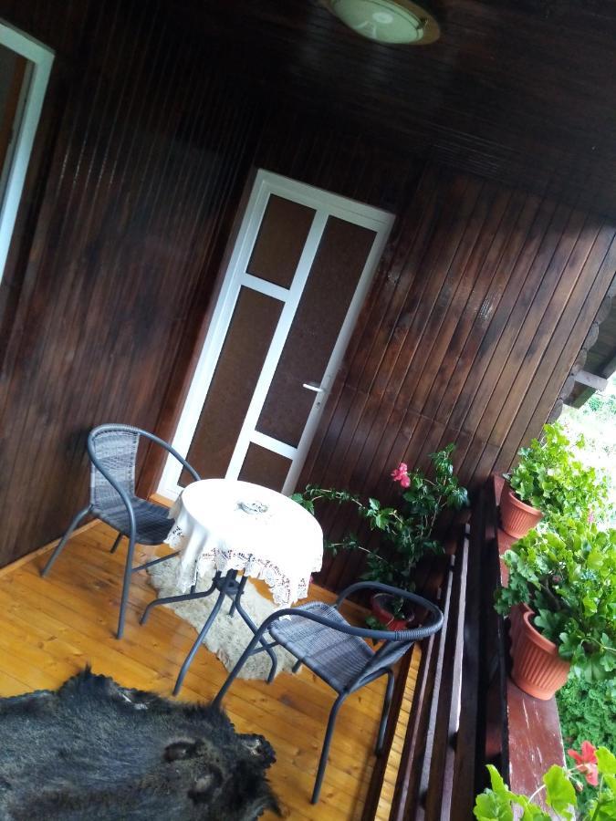 Casa Prundari Nicu și Mirela Hotel Poiana Teiului Exterior foto