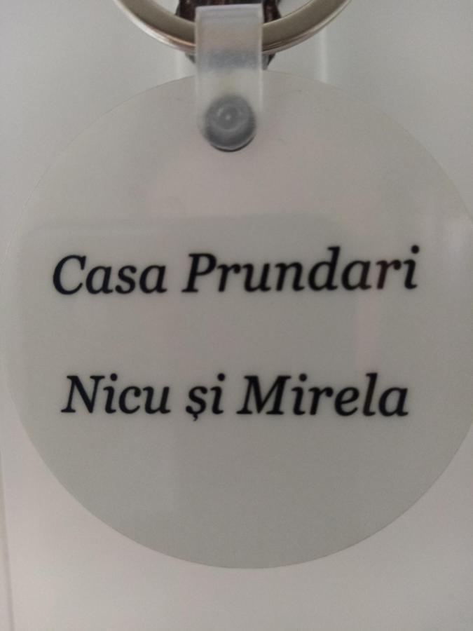 Casa Prundari Nicu și Mirela Hotel Poiana Teiului Exterior foto