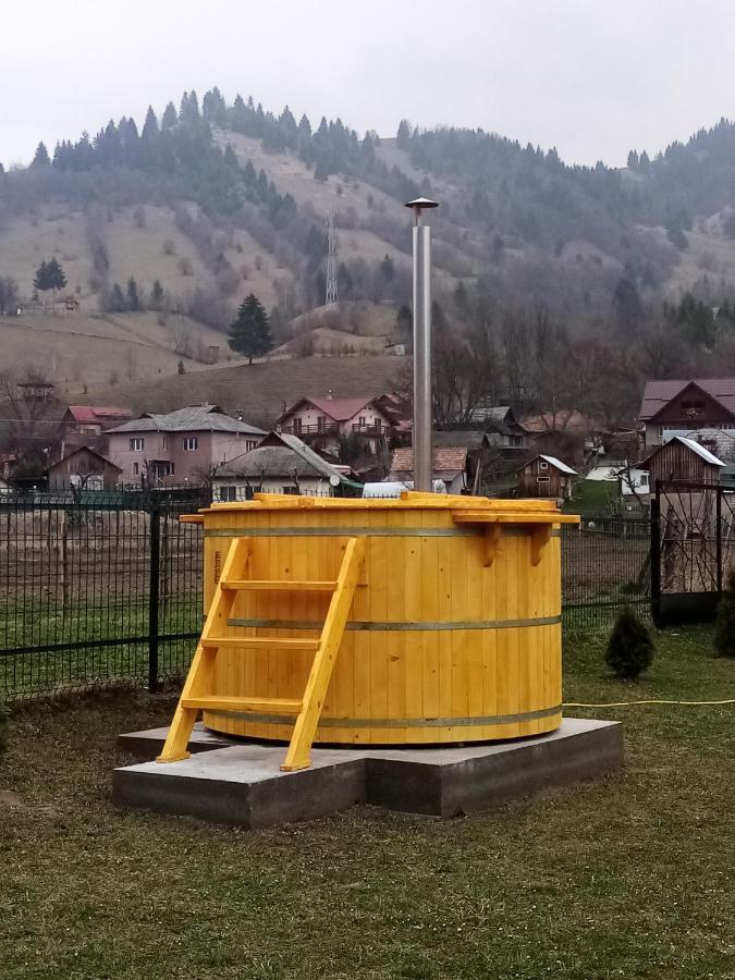 Casa Prundari Nicu și Mirela Hotel Poiana Teiului Exterior foto
