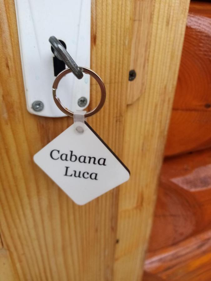Casa Prundari Nicu și Mirela Hotel Poiana Teiului Exterior foto