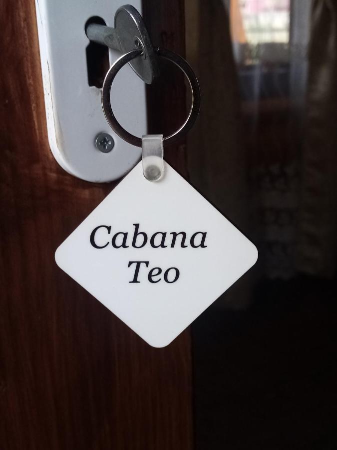 Casa Prundari Nicu și Mirela Hotel Poiana Teiului Exterior foto