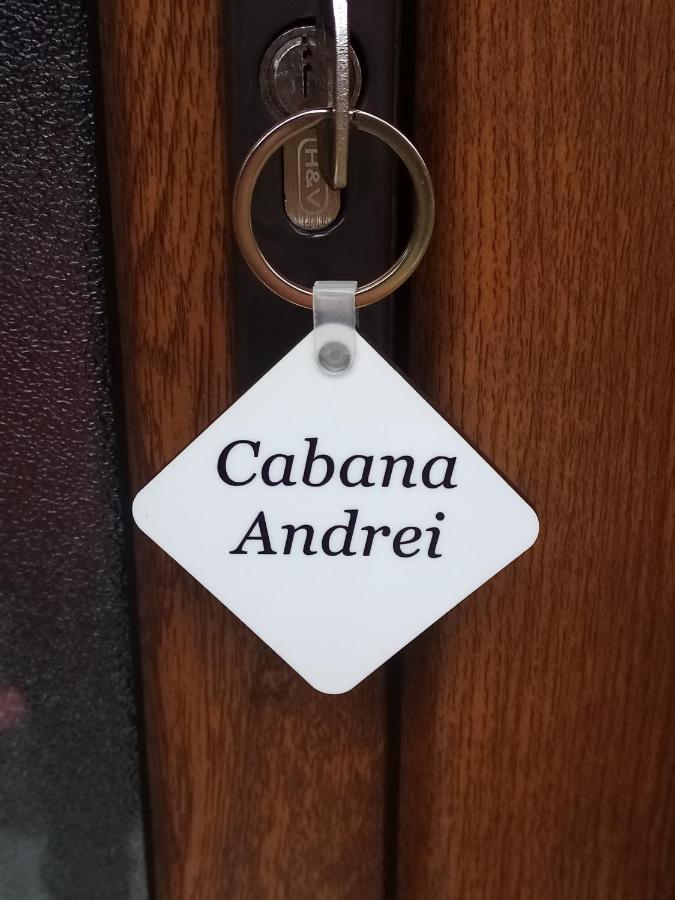 Casa Prundari Nicu și Mirela Hotel Poiana Teiului Exterior foto