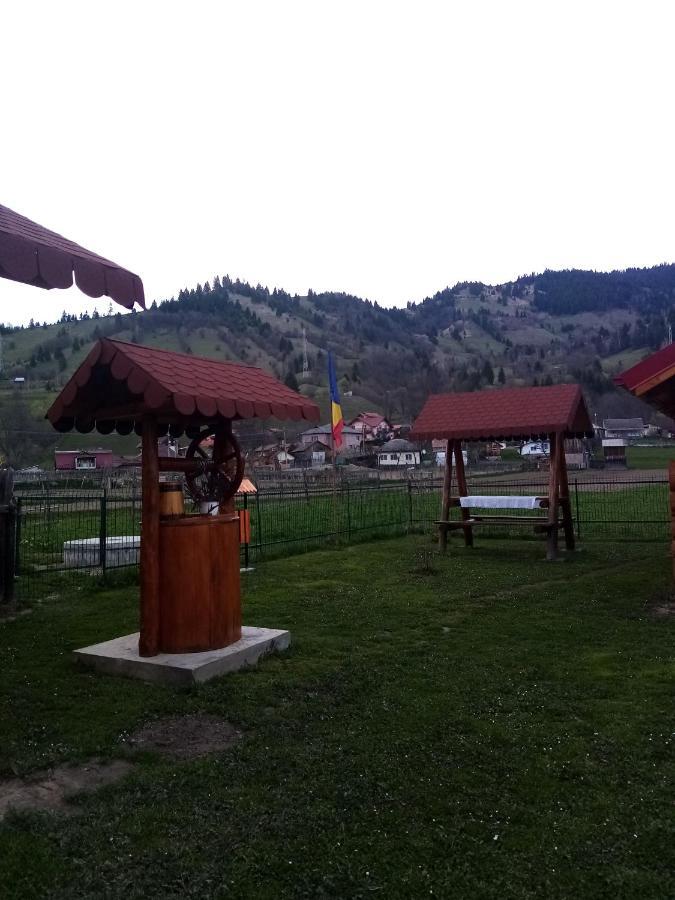 Casa Prundari Nicu și Mirela Hotel Poiana Teiului Exterior foto