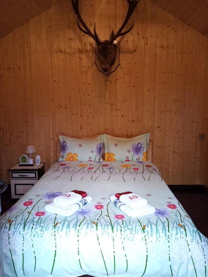Casa Prundari Nicu și Mirela Hotel Poiana Teiului Exterior foto